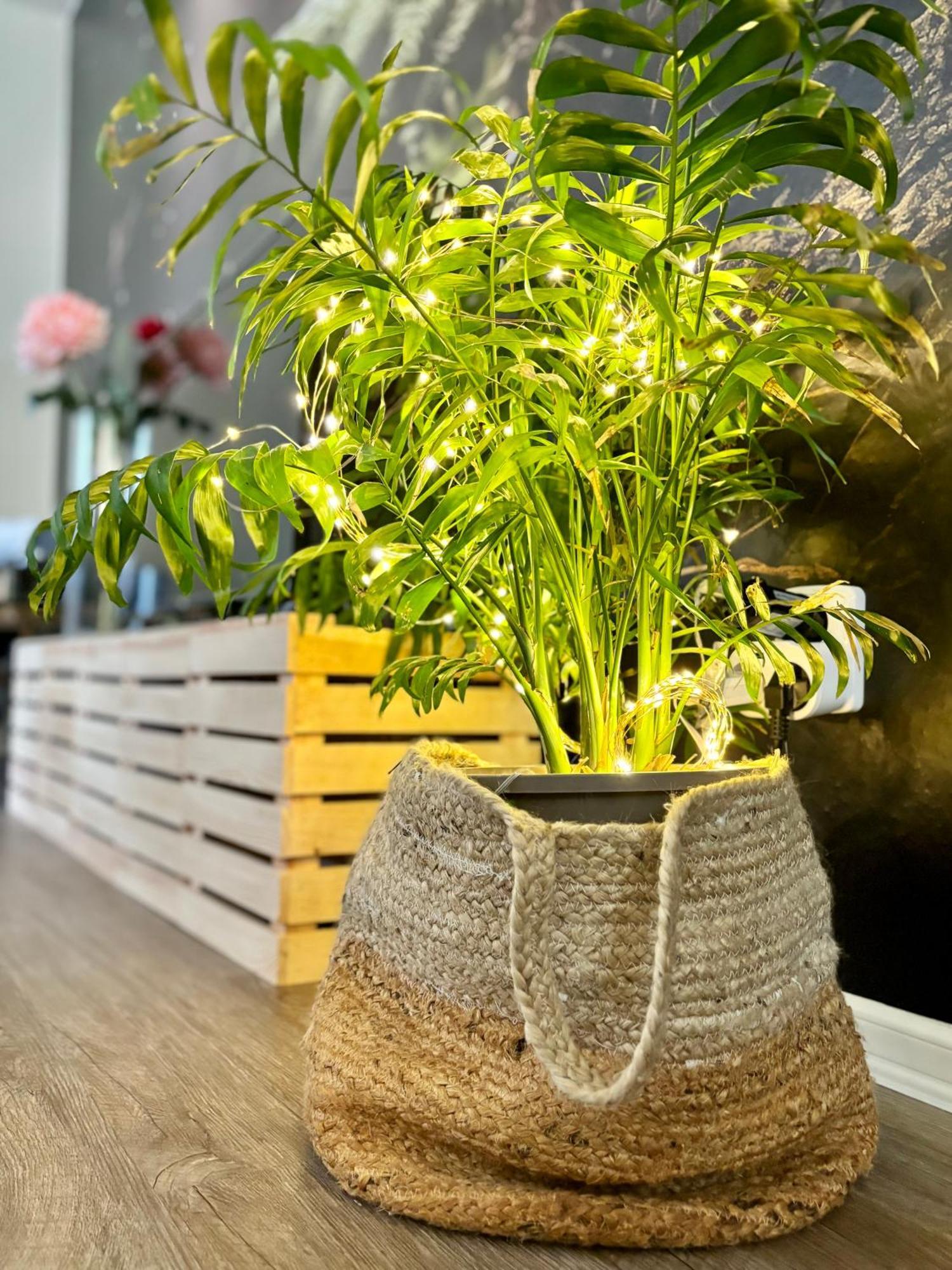 Remote Work Friendly Zahradni Apartman U Jezera Stare Splavy Exterior photo